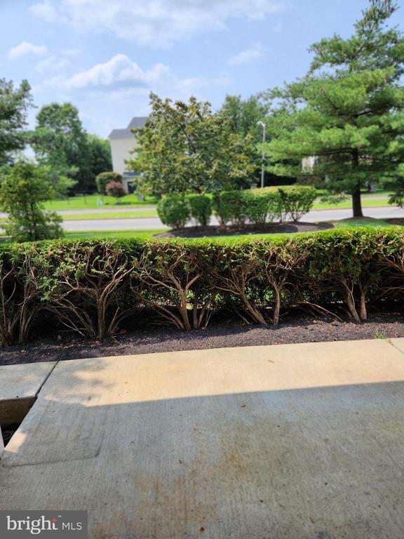 Building Photo - 4003A Saxony Dr