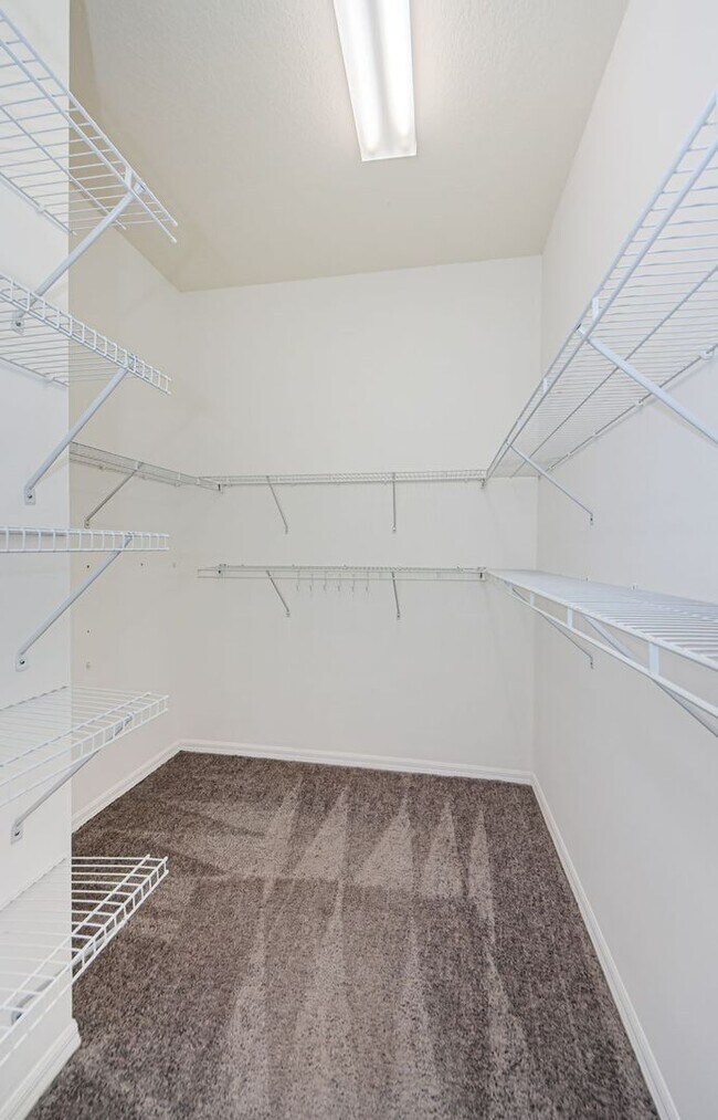 Building Photo - Beautiful town house in Trinity