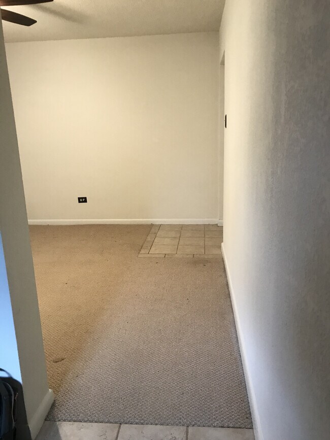 Common Area - 250 Little St