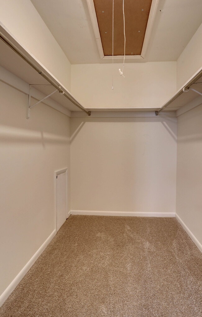 Building Photo - 3BD, 1.5BA - Beautifully Remodeled Townhome in Columbia
