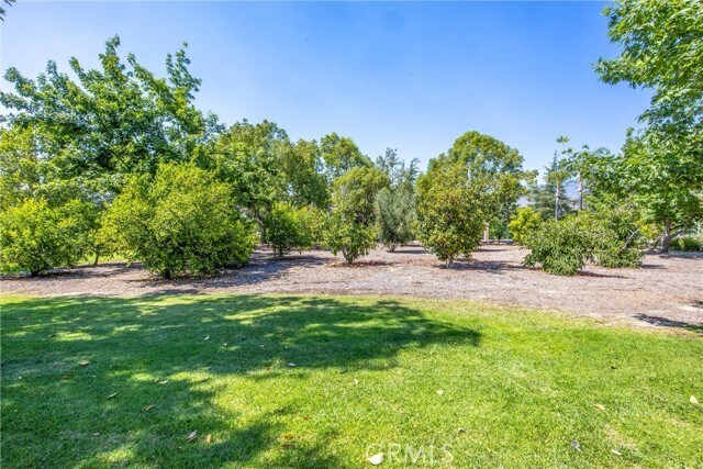 Building Photo - 1689 Tivoli Dr