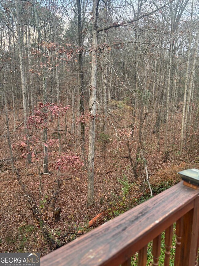 Building Photo - 4196 Preserve Trail SW