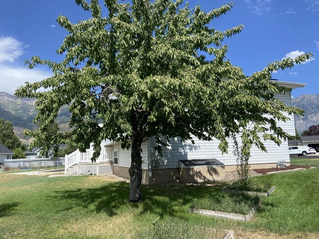 Building Photo - 1373 N 40 E St