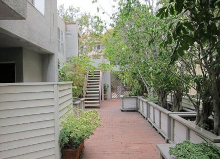 Building Photo - 10380 Almayo Ave