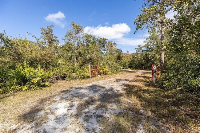 Building Photo - 3230 Tiger Creek Trail