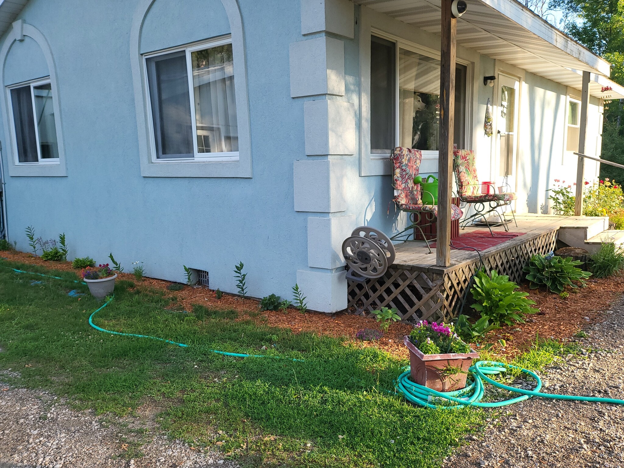 more side landscaping - 4265 Jeffery Rd