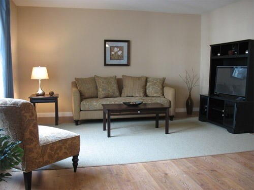 Living Area - Elm Street Apartments