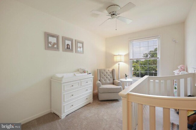 Building Photo - 11 Donagh Ct