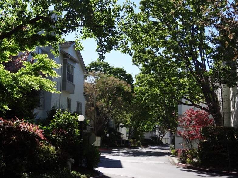 Building Photo - 964 Belmont Ter