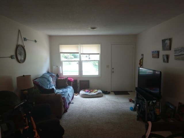 Building Photo - 2 Bedroom Duplex located on East Side of MHK!