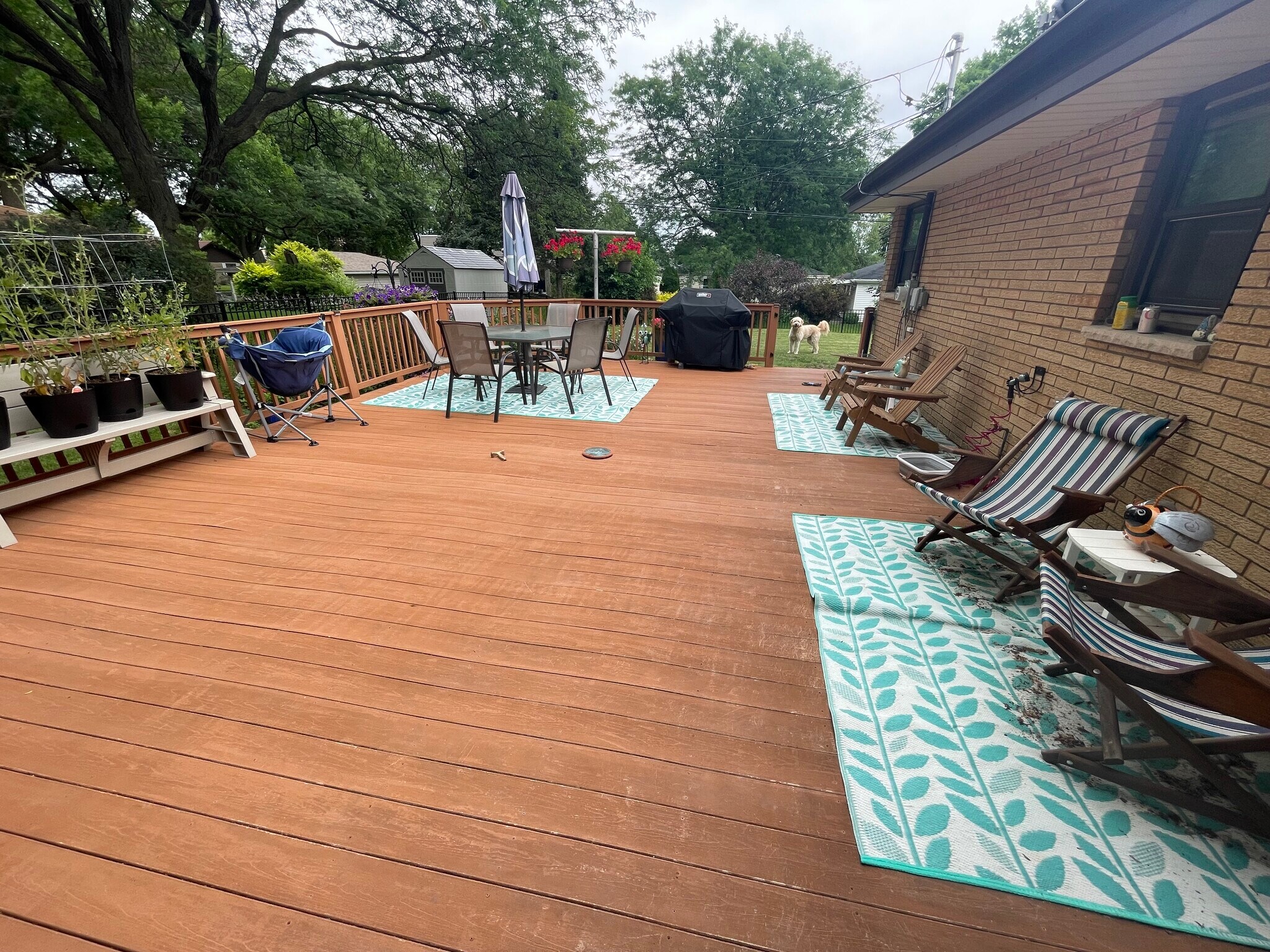 Building Photo - 6016 S 19th St