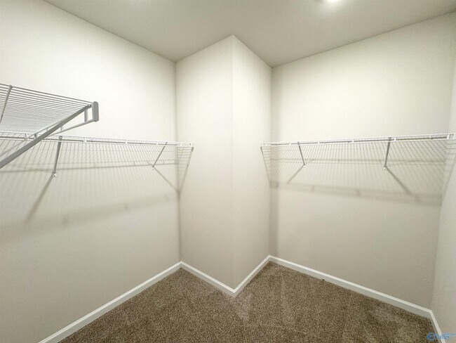 Building Photo - 29351 Satilla Cir