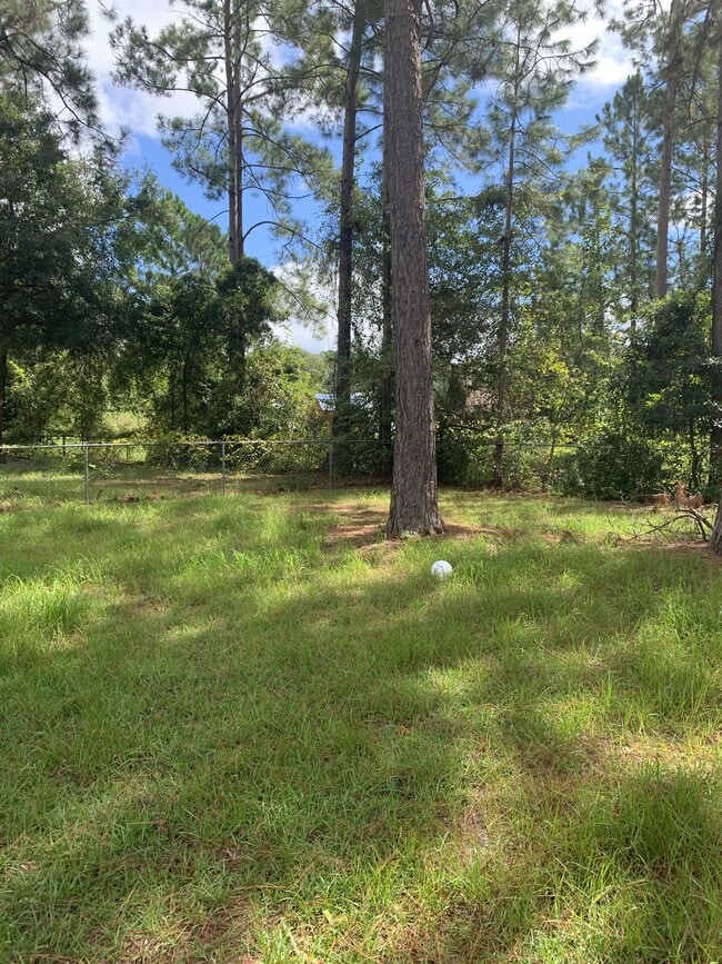 Building Photo - 920 Mandarin Dr