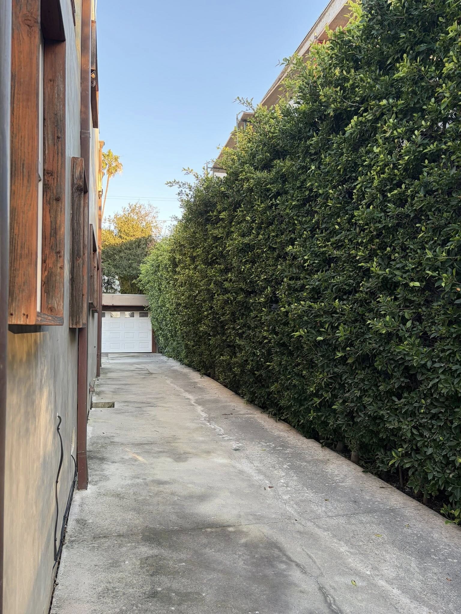 Building Photo - 832 N Las Palmas Ave