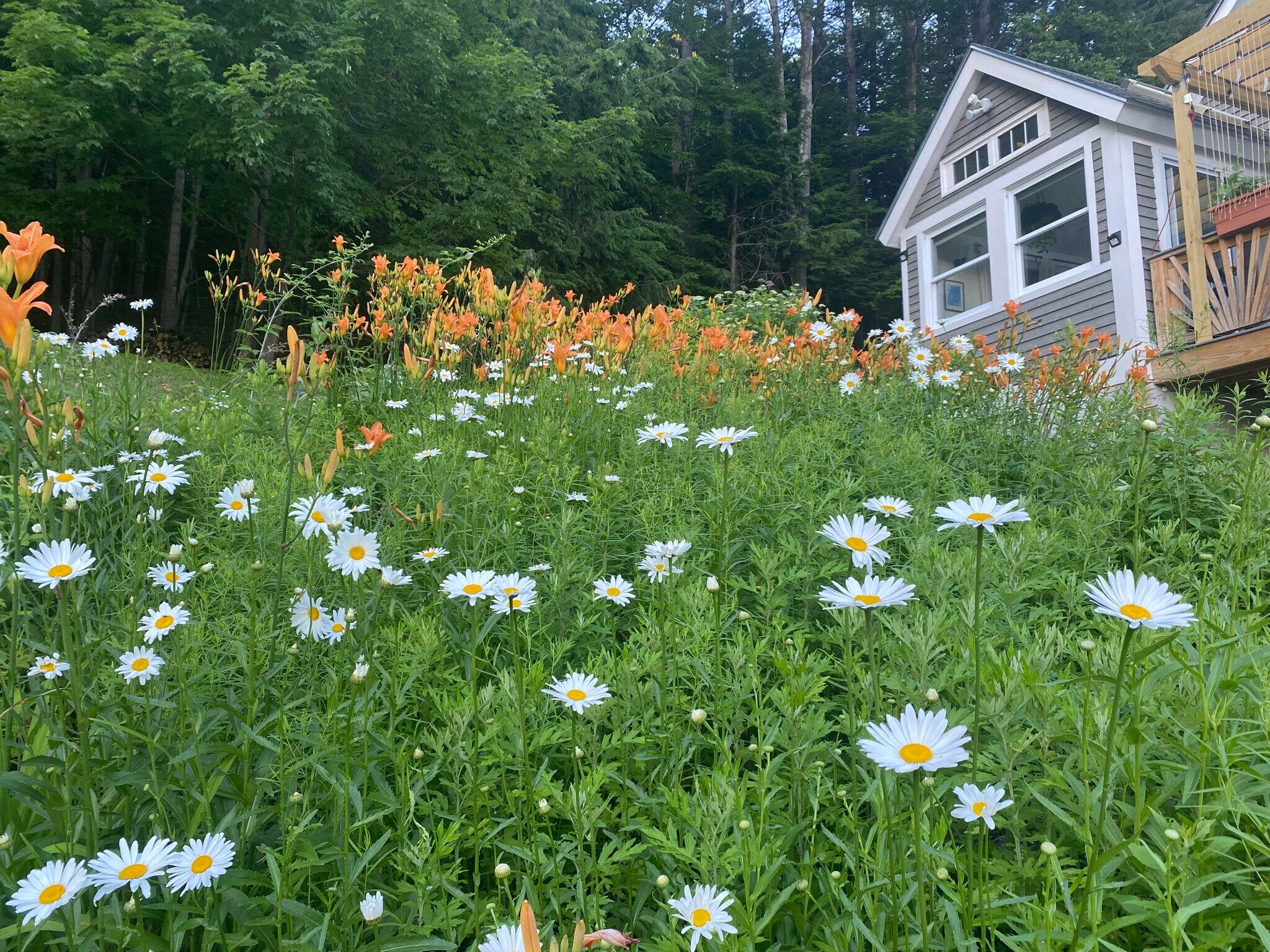 Building Photo - 326 Reservoir Dr