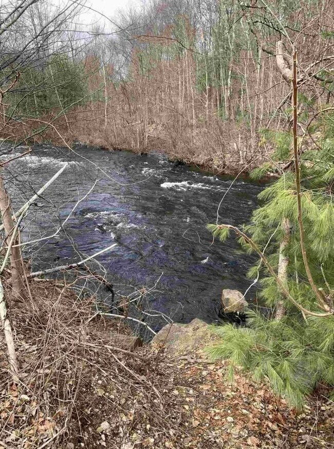 Building Photo - 12 Dawson St