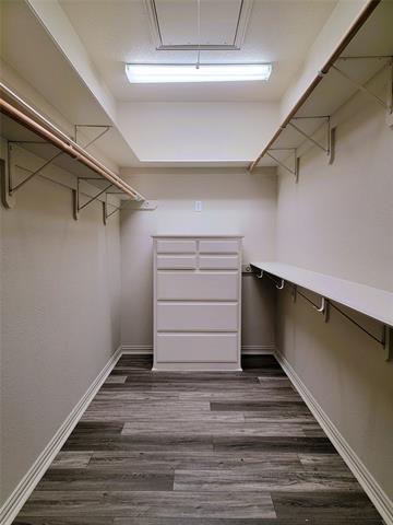 Building Photo - 2525 Colt Ln