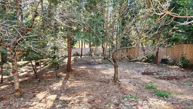 Building Photo - Large Home Close to Town In The Trees