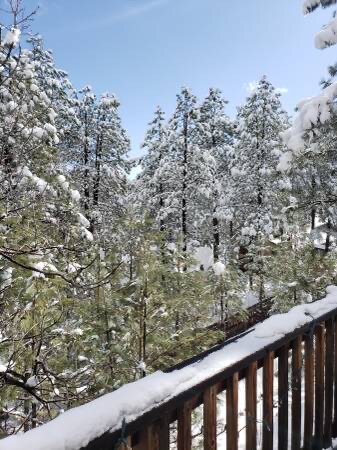 Building Photo - 3174 Lindsey Loop