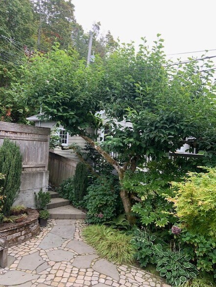 Front courtyard area (fully fenced) - 7117 Beach Dr SW