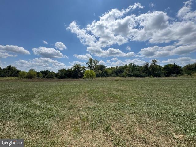 Building Photo - 488 Switchgrass Ct