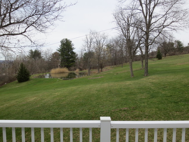 Pond View - 1307 Dryden Rd