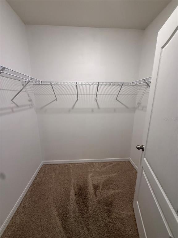 Building Photo - 1731 Setter Ave