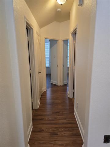 Building Photo - 3101 Spanish Oak Trail