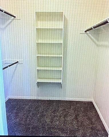 Building Photo - 317 Santo Dr