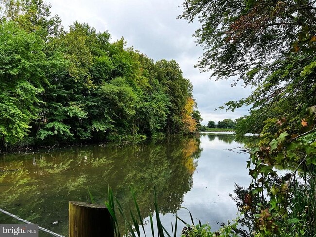 Building Photo - 9016 Lake Largo Dr