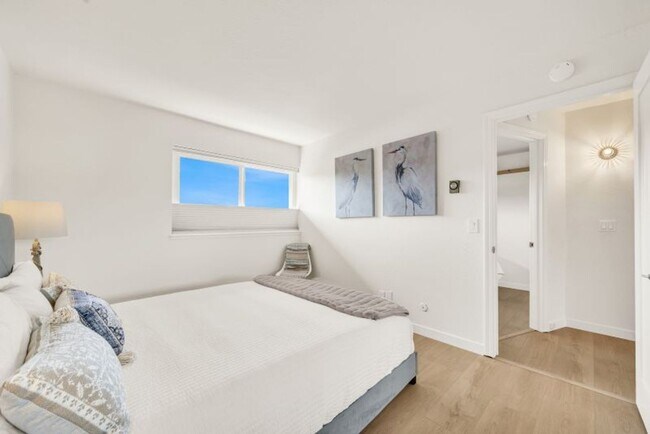 Building Photo - Darling Fully Furnished Condo Bathed in Natural Light