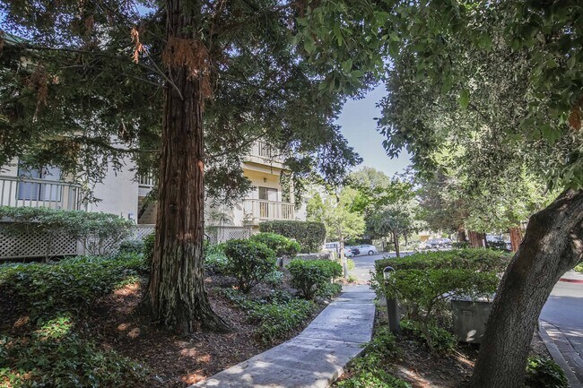 Building Photo - 1912 Magdalena Cir