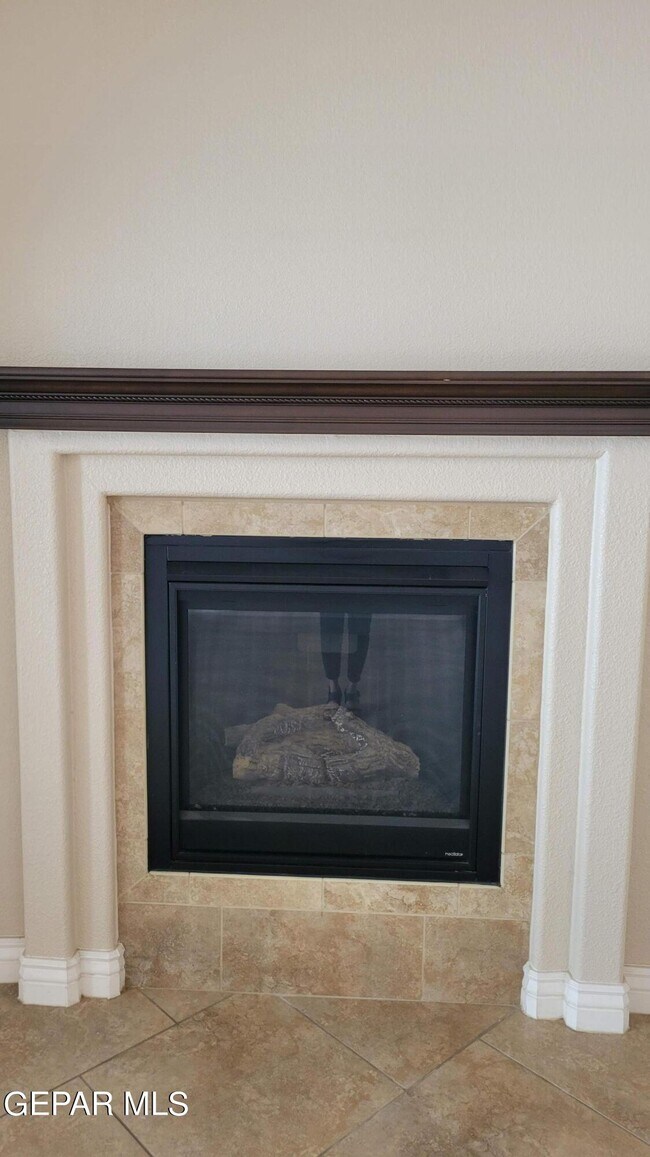 Building Photo - 11512 Porfirio Payan Dr