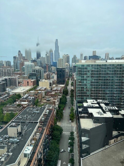 Building Photo - 700 N Larrabee St