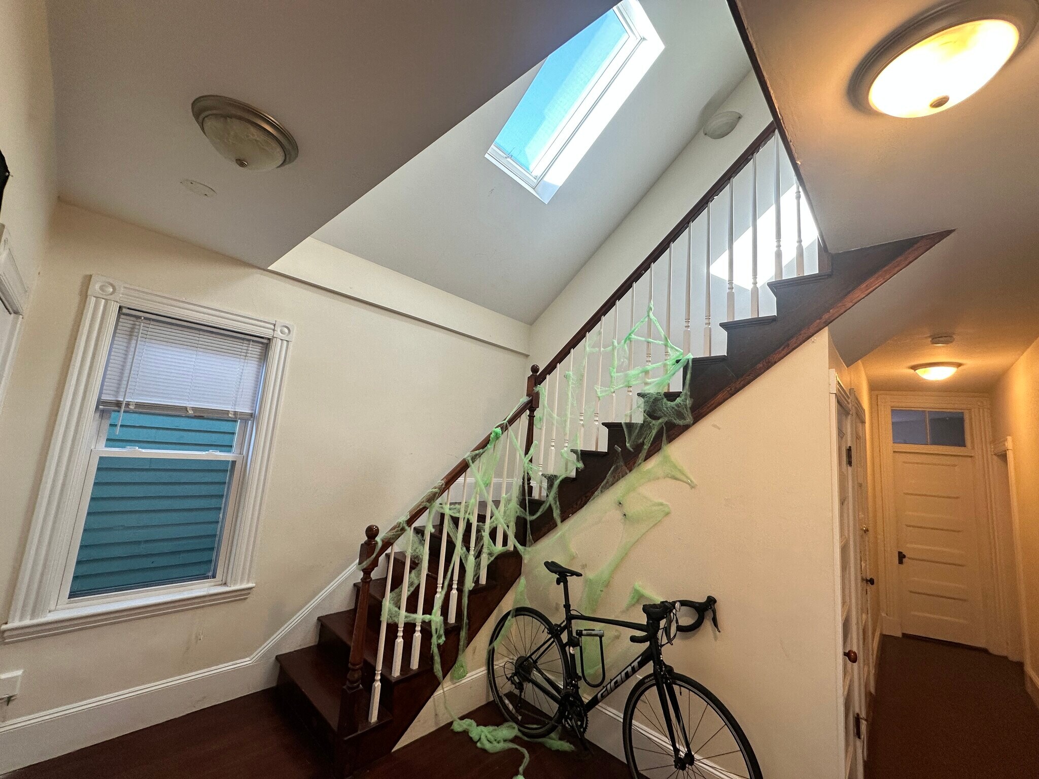 Building Photo - 6 Oswald St