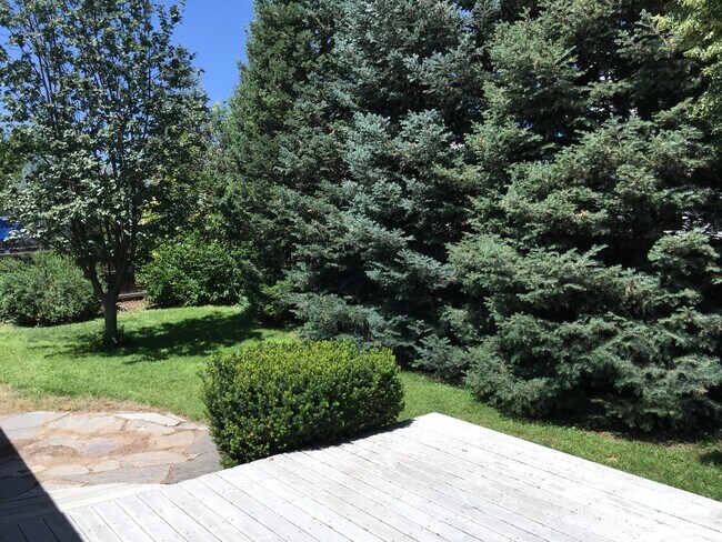 Building Photo - Modern Waneka Lake 4 Bedroom, 3 Bath Prett...