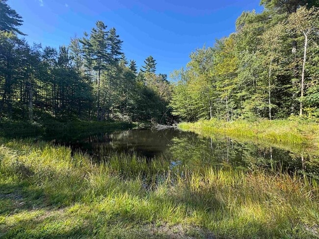 Building Photo - 473 Hapgood Pond Rd