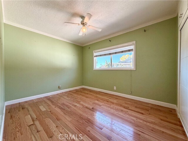 Building Photo - 1429 Underhill Terrace