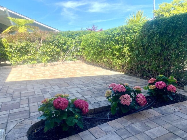 Building Photo - 852 Arcturus Cir