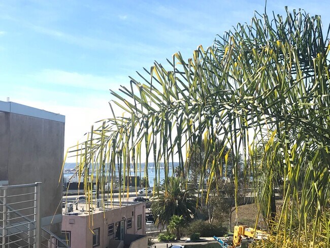 Building Photo - 1BR w/ AC & Parking Near Little Italy – Pe...