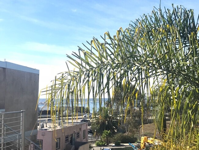 Building Photo - MOVE IN READY! Minutes from Little Italy! ...