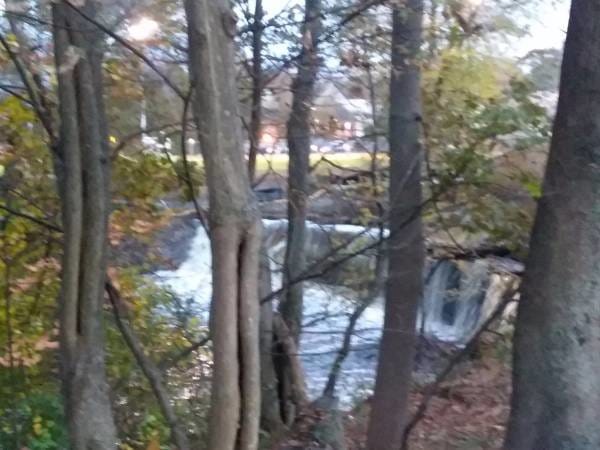 View from your apartment - 188 Colburn St