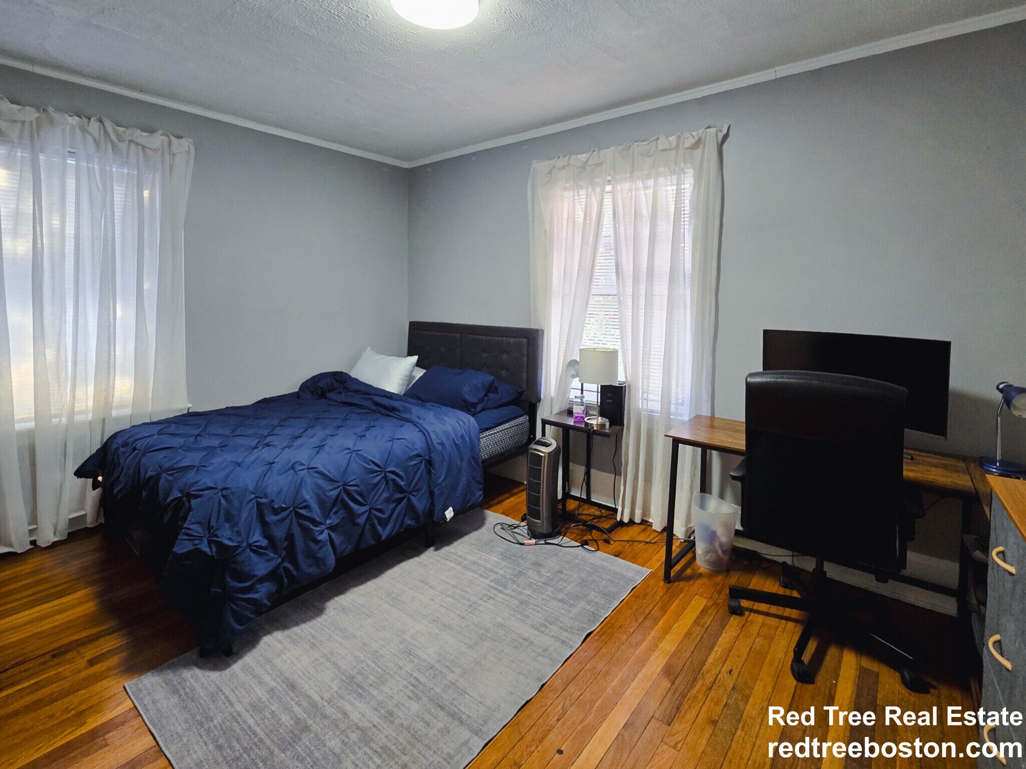 Building Photo - 237 Chestnut Hill Ave