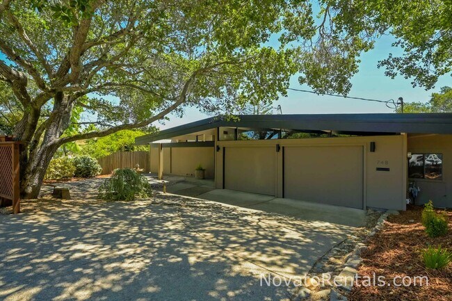 Primary Photo - 748 Beechnut Ct