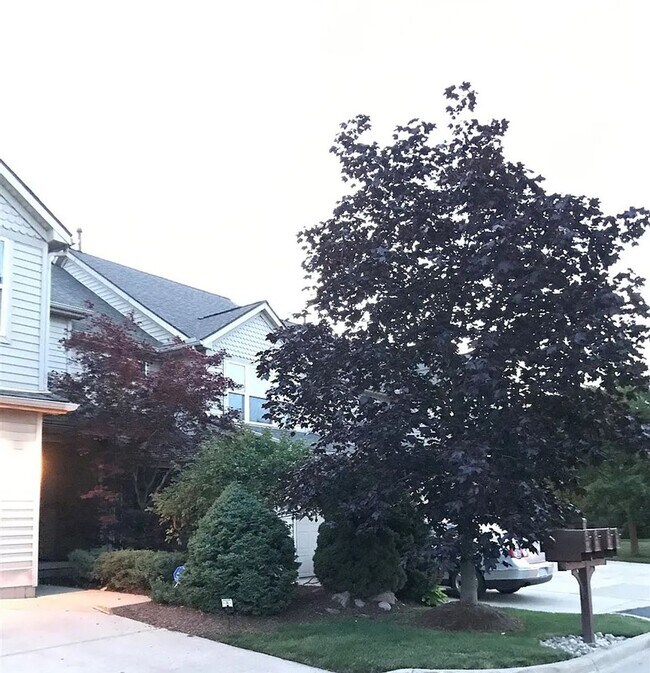 Building Photo - 3520 Meadow grove Trail Beautiful 2 Bedroo...