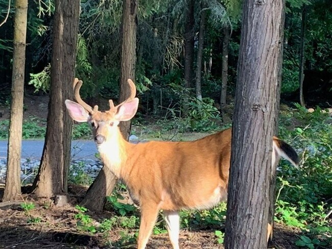Building Photo - 392 Buck Loop Rd