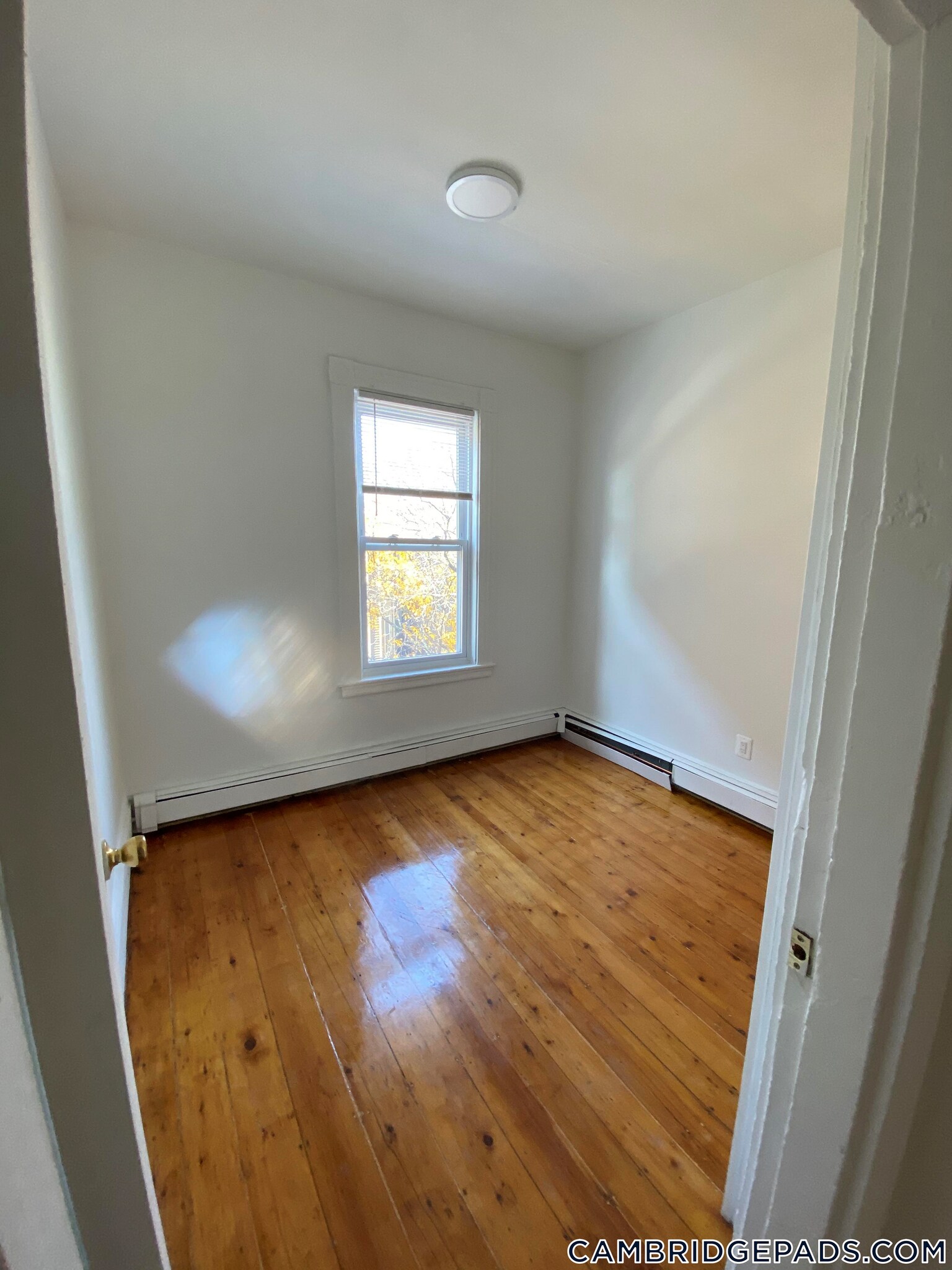 Building Photo - 254 Windsor St