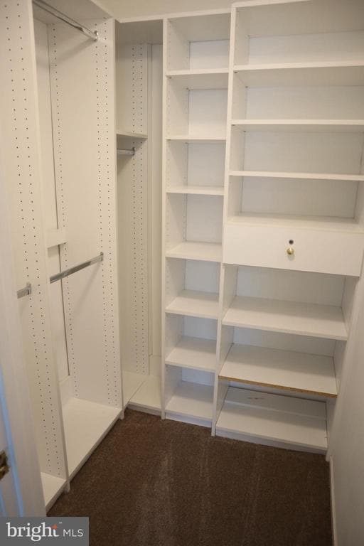 Building Photo - 19 Ohara Ct