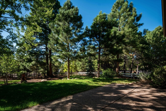 Building Photo - Beautiful Walnut Ridge Home!