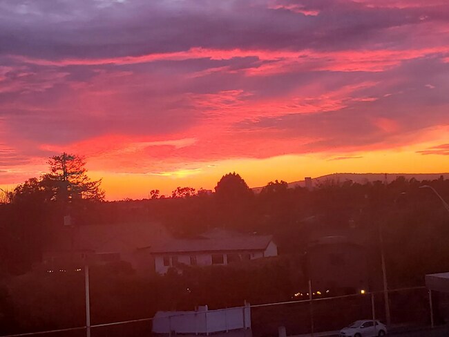 Building Photo - 514 Coronado Ave